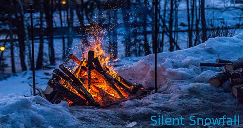 Silent Snowfall
