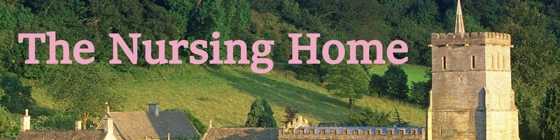The Nursing Home