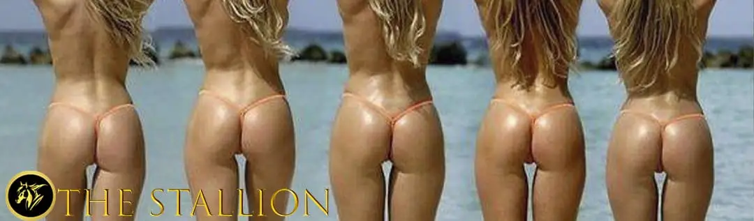 Horny Saint banner