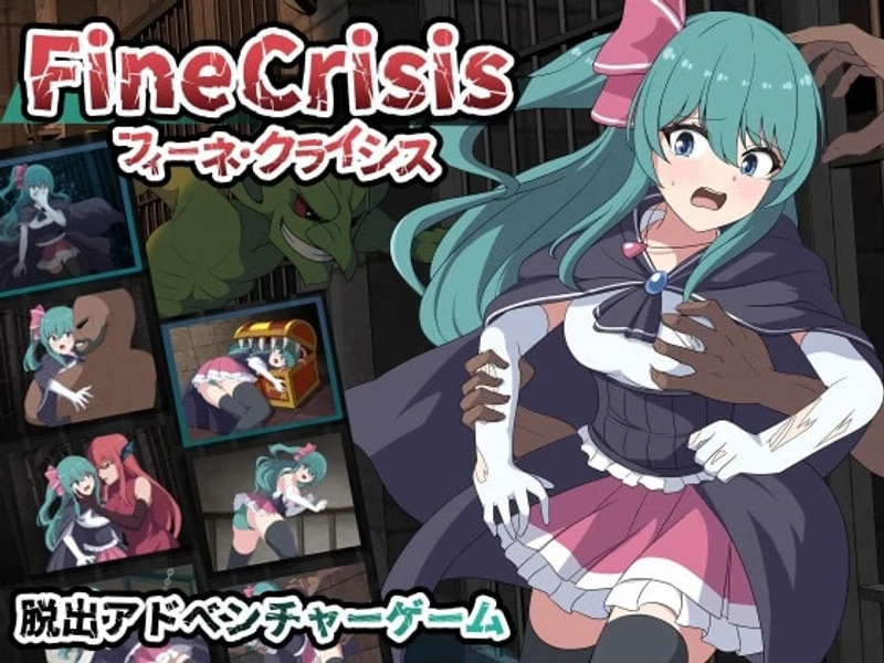 Fine Crisis