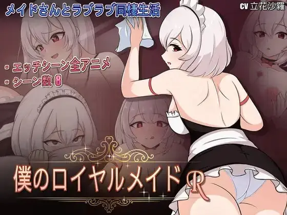 WAWA banner