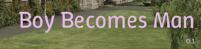 Mister Pheonix banner