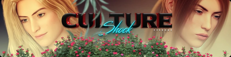 Culture Shock