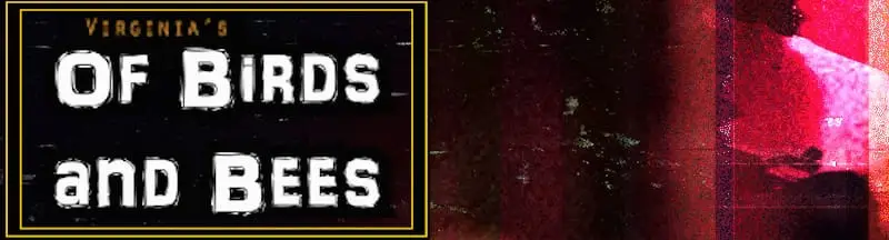 Of Birds and Bees